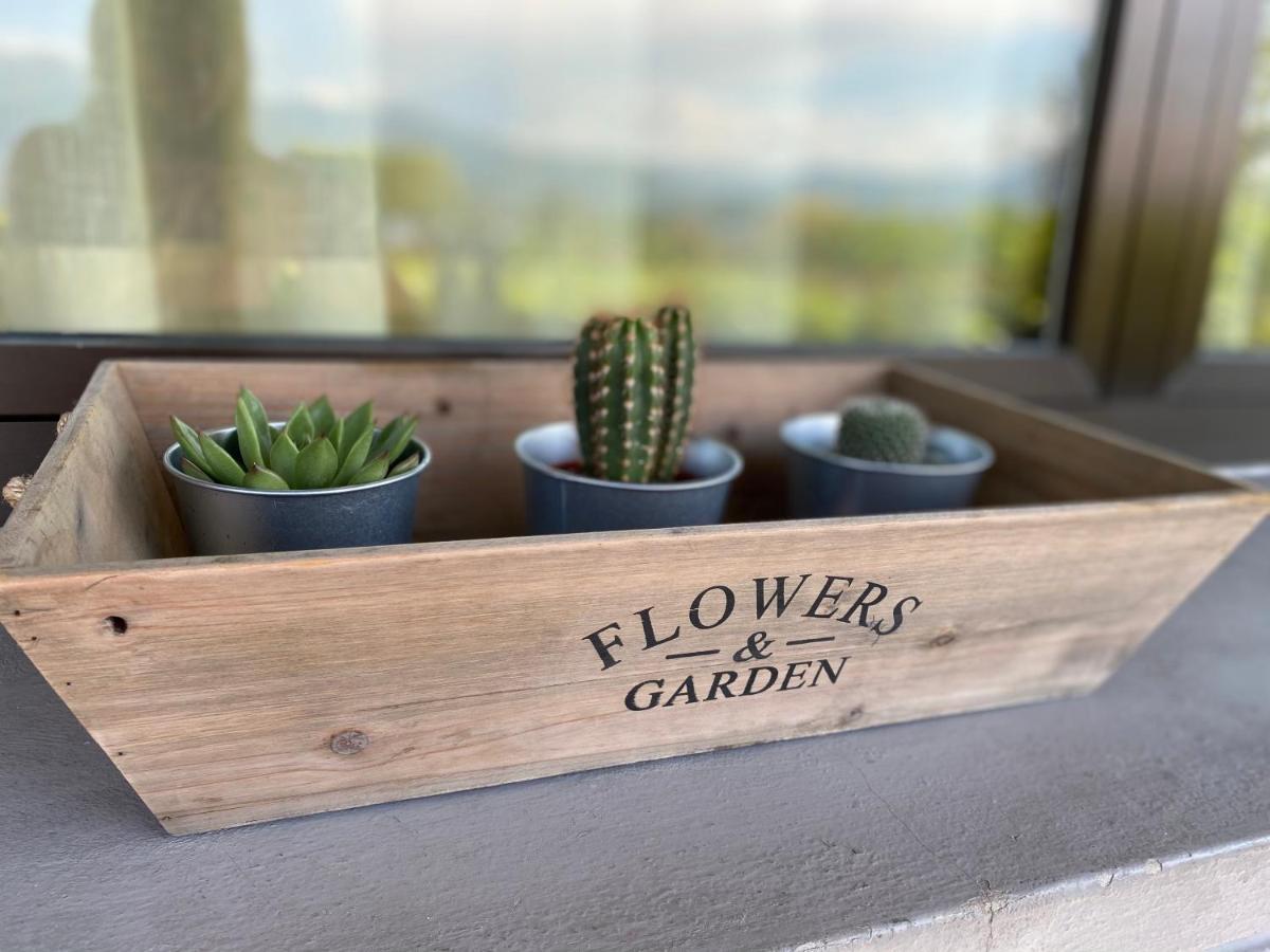 Flowers & Garden Apartment Con Vista Lago Manerba del Garda Exterior photo